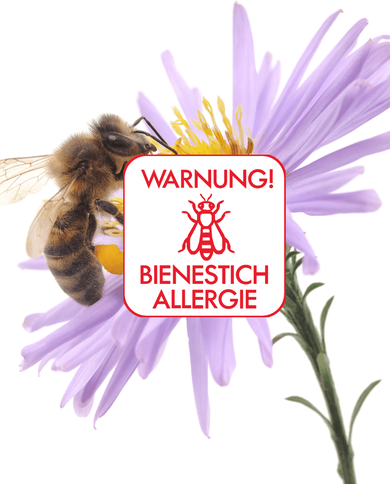Im Vordergrund ist ein weißer in rotem Text geschriebener Bienenstich-Allergie Warnaufkleber. Im Hintergrund eine violette Blütenblume mit einer Biene, die auf den gelben, pollenbeladenen Staubfäden sitzt.